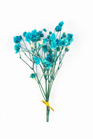 Flowers composition. Floral pattern. Postcard of dried flowers. Blue flowers on white background. Valentine's Day. International Women's Day, March 8. Flat lay, top view, copy spaceのeditorial素材