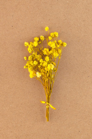 Flowers composition. Floral pattern. Postcard of dried flowers. Yellow flowers on Kraft paper background. Valentine's Day. International Women's Day, March 8. Flat lay, top view, copy spaceのeditorial素材