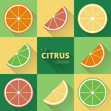 Geometric citrus: lemon, lime, grapefruit, orange. Flat icons of citrus with long shadow. Colorful fruit in a flat styleのイラスト素材