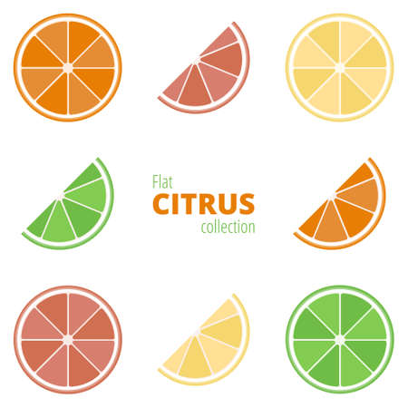 Flat icons of citrus on a white background. Geometric citrus: lemon, lime, grapefruit, orange. Colorful fruit in a flat styleのイラスト素材
