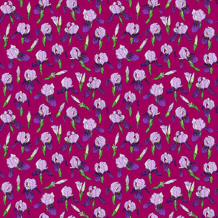 Vector graphic hand-drawn ink seamless pattern of purple iris flowers in a linear style. Vintage texture. Drawn on paper and traced buds of violet irises. For textile, fabric, invitationの写真素材