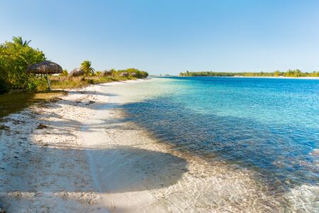 Soft wave of the sea on the sandy beach. Blue sky, white sand, palm trees. Cuba, Caribbean sea.の写真素材