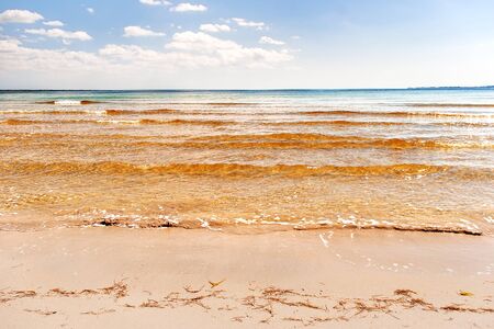 Soft wave of the sea on the sandy beach. Blue sky, golden sand and seaweeds. Varadero, Cuba, Caribbean sea.の写真素材
