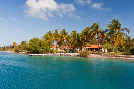 oast of one of the islands of Cuba - sea, palms and bungalow.の写真素材