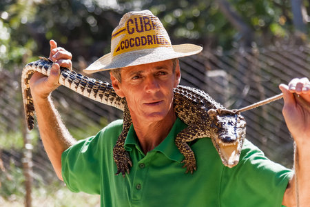 Man with young crocodile. Cuban crocodile (Crocodylus rhombifer). Cuba.のeditorial素材