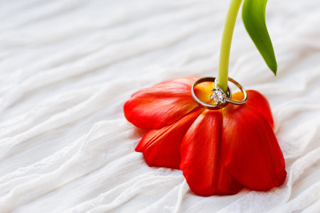 Pair of wedding and engagement rings with diamond on red tulip. Natural background with symbol of love and marriage. Close up.の写真素材