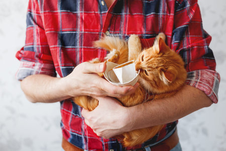 Man in plaid tartan shirt holds a broken white cup and cute ginger cat. Cat broke a cup. Damaged mug with golden decoration.の写真素材
