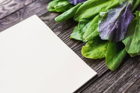 Fresh leaves of sorrel on wooden background. Rustic table with green and violet edible leaves. Place for text. Recipe book.の写真素材