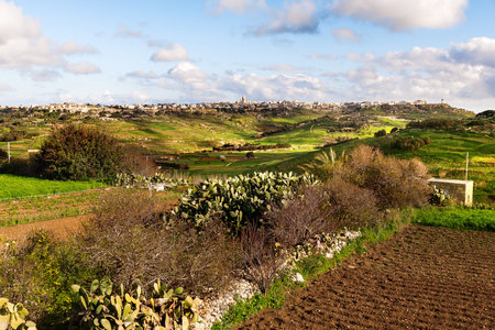 Panorama view on fields and village. Gozo island, Malta.の写真素材