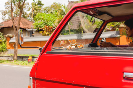 UBUD, INDONESIA - January 26, 2013. Man drive a minivan. On the dashboard are asian traditional gifts to the gods.のeditorial素材