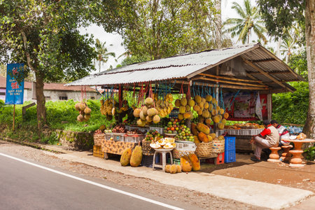 UBUD, INDONESIA - January 26, 2013. Street fruit shop. Two Balinese sell durians, bananas, mangosteens.のeditorial素材