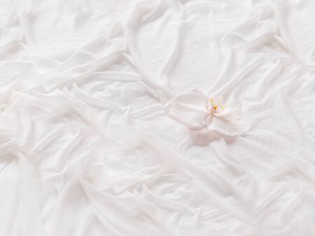 Phalaenopsis Orchid on white fabric. Graceful background with flower and folded textile. Cozy stilllife backdrop.の写真素材