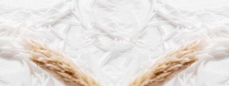 Cortaderia selloana (pampas grass) on white fabric.Graceful background with flowers and folded textile. Cozy stilllife backdrop.の写真素材