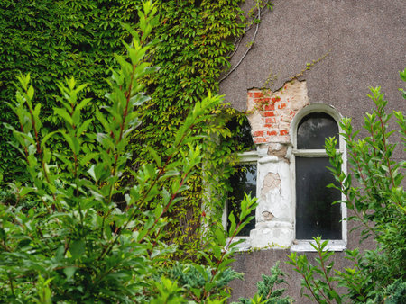 Wall covered with ivy and old windows of  Water tower and the adjoining rotundal building of the...