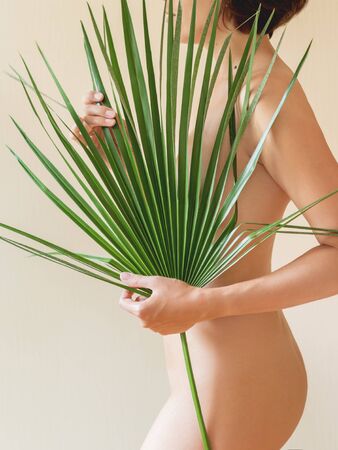 Nude woman with big palm tree leaf stands sideways on beige background. Banner with beautiful body and copy space.の写真素材