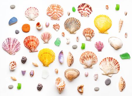Top view on different sea shells. Flat lay with colorful mollusc shells, corals and wave-worn pieces of glass and stones. Finds from ocean beach.の写真素材