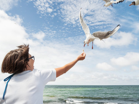 Woman feeds seagulls. Hungry noisy birds try to catch bread crust from woman's hand. Seascape in...