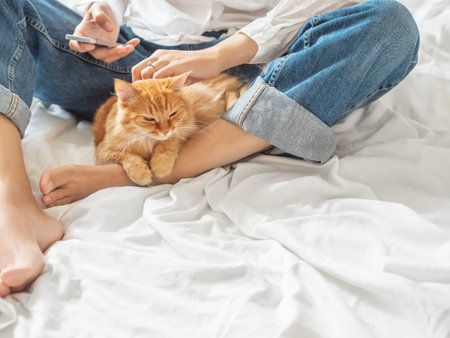 Woman in classic blue jeans sits on crumpled bed sheet with smartphone and strokes cute ginger cat. Fluffy pet on unmade bed. Lazy morning bedtime with fluffy pet in cozy home. Bedroom lit with sunlight.の写真素材