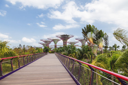SINGAPORE, SINGAPORE - January 17, 2013. Decorative towers in shape of tree with telpherage. Different flower beds with plants. Supertree Grove at Gardens by the Bay near Marina Bay Sands hotel.のeditorial素材