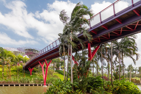 SINGAPORE, SINGAPORE - January 17, 2013. Decorative towers in shape of tree with telpherage. Different flower beds with plants. Supertree Grove at Gardens by the Bay near Marina Bay Sands hotel.のeditorial素材