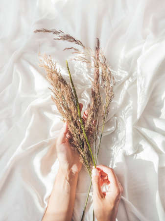 Top view on woman hands with dried grass. Flat lay still life concept. Decorative plants on crumpled white fabric. Cozy home. Hand made natural decorations.の写真素材