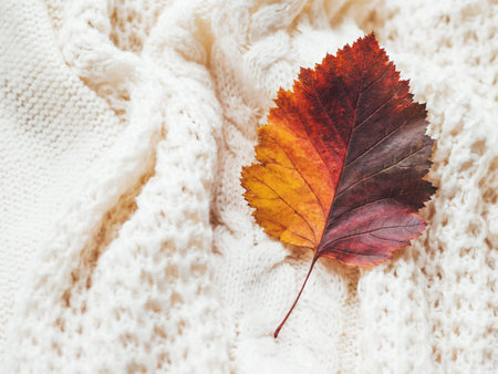 Bright and colorful autumn leaf on hand made cable-knit sweater sweater. Texture of warm knitted...