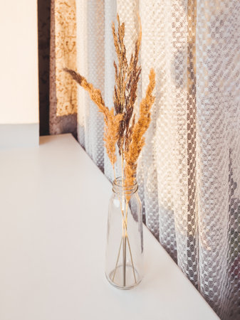 Glass vase with relief ornament and dried grass. Trendy interior decoration. Hard sunlight on window sill and tulle curtain. Cozy home with dried fluffy plants.の写真素材