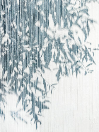 Lacy shadows from trees on white wall. Abstract background with concrete texture.