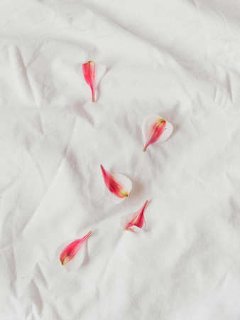 Alstroemeria petals on crumpled white fabric. Natural elegant decoration. Romantic background. Top view, flat lay.の写真素材