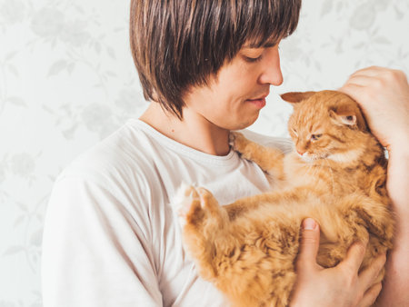 Man cuddles his cute ginger cat. Fluffy pet looks pleased and sleepy. Fuzzy domestic animal. Cat...