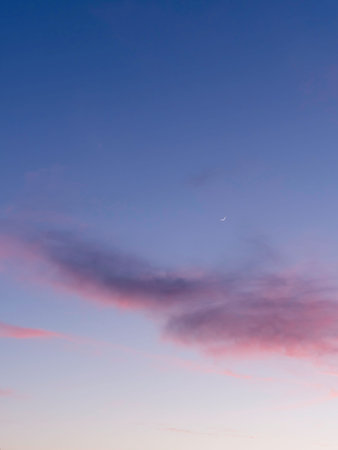 Beautiful sunset with pink clouds on clear blue sky with sickle of the waxing moon. Colorful...