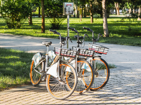 KRASNODAR, RUSSIA - June 02, 2021. Bicycles for rent in urban park. Eco-friendly and comfortable...