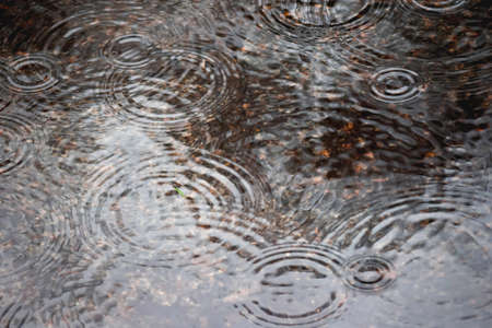 Rainy weather at fall season. Circle of raindrops on puddle surface. Wet pavement.の写真素材