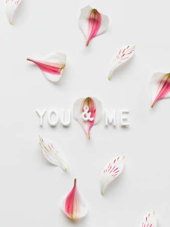 Top view on words YOU and ME on white background with pink petals. Vertical romantic backdrop.の写真素材