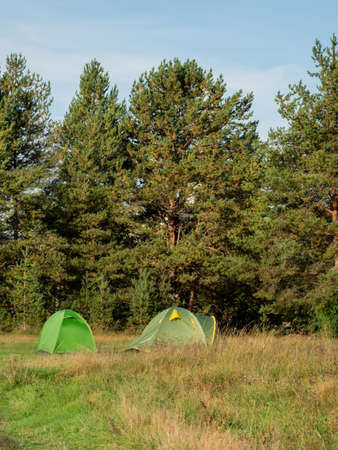 Two green tourist tents stand in camp near pine tree forest. Hiking in Russia.の写真素材