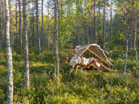 KARGOPOL, RUSSIA - September 10, 2018. Wooden statue of ant in park named Path of anthills.のeditorial素材