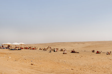CAIRO, EGYPT - September 11, 2008. Local people and camels have a rest in Arabian desert.のeditorial素材