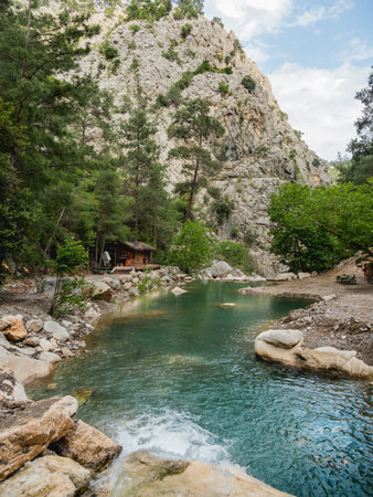 Trees and bushes along the river in Goynuk Canyon. Mountain slopes in Beydaglari Coastal National Park. Turkey.の写真素材