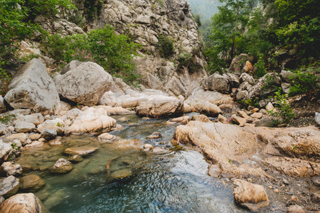 Trees and stones in the river in Goynuk Canyon. Mountain slopes in Beydaglari Coastal National Park. Turkey.の写真素材