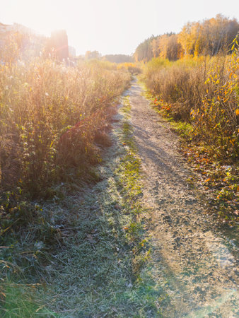 Autumn sunset in suburbs near woods. Bright sunlight on fields with grass in frost. late fall landscape.の写真素材