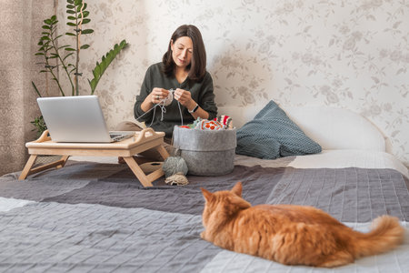 Ginger cat looks like woman is crocheting while watching movie on laptop. Learn to knit from video lessons on the Internet. Cozy home and anti stress hobby.の写真素材