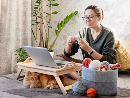 Ginger cat looks how woman is crocheting while watching movie on laptop. Learn to knit from video lessons on Internet. Cozy home and anti stress hobby.の写真素材