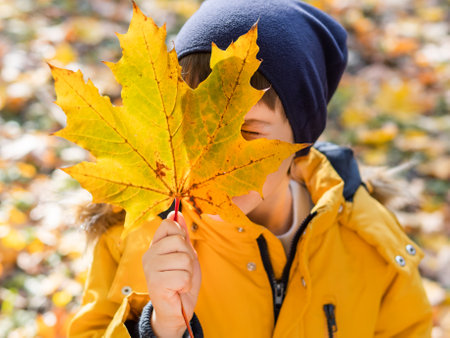 Boy is hiding behind yellow maple leaf. Autumn fun with fallen leaves in park. Leisure activity outdoors. Autism. Autism spectrum disorder.の写真素材