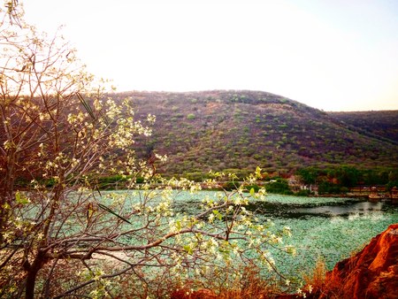 peace full tows one of the beautiful place . spring cliclの写真素材