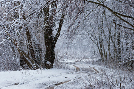 Winter