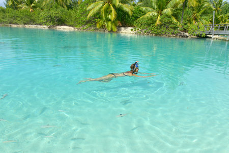 Woman snorkeling in crystal clear turquoise water at tropical beach