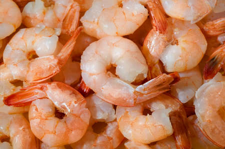 Shrimp  background with a close up viewの写真素材