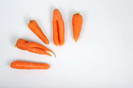 Ugly Carrots.Nutritious and delicious as all the other carrots, but is a slightly different shape.Every day, thousands of âoptically deficientâ carrots are mechanically scanned and promptly removed from factory conveyor belts, deemed unfit for consumers.Concept of Eating Ugly.の写真素材