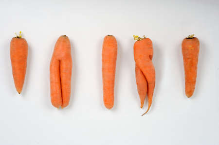Eating Ugly. Ugly carrot taste just as good as perfect-looking food and is as nutritious.Food concept.の写真素材