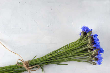 Bunch of cornflowers. Creative flat lay , top view of  blue cornflowers on gray background with copy space in minimal style for lettering, text or design. Vertical.の写真素材